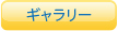 ギャラリーページへのボタンリンク画像