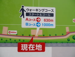 ウォーキングコース案内板