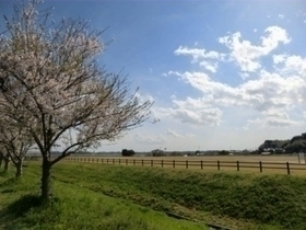 大井戸湖岸公園の写真 2