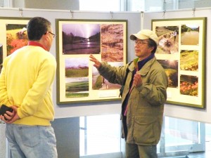 書楽会作品展の写真