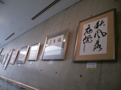 募集作品テーマ  「光と風」の写真7