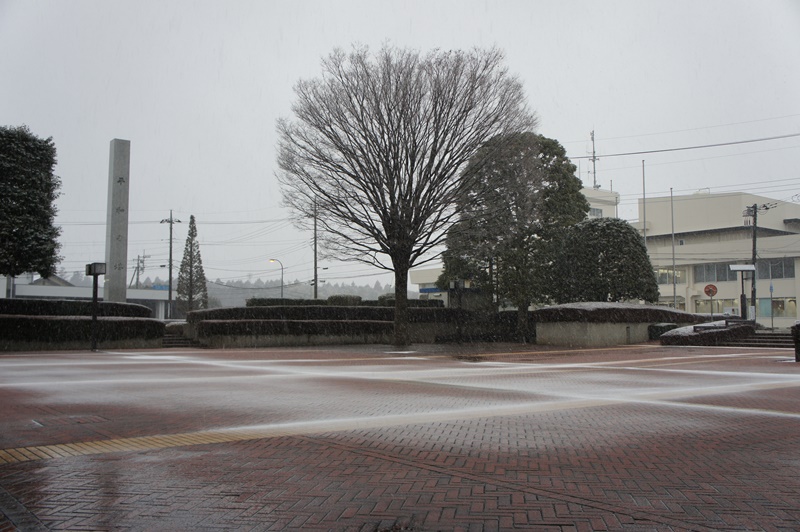 180122_01雪（月曜）