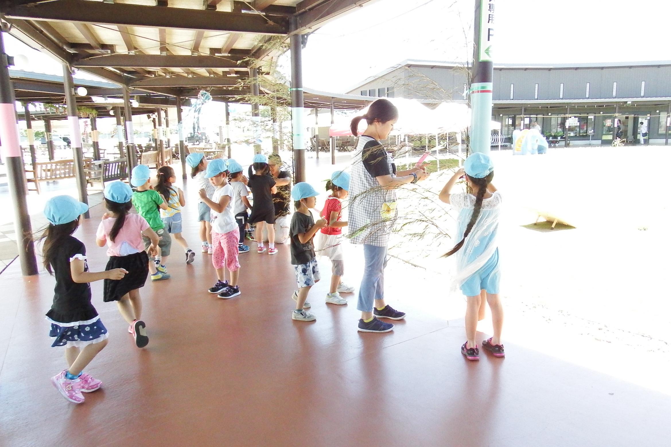 DSCF3495 DSCF3495