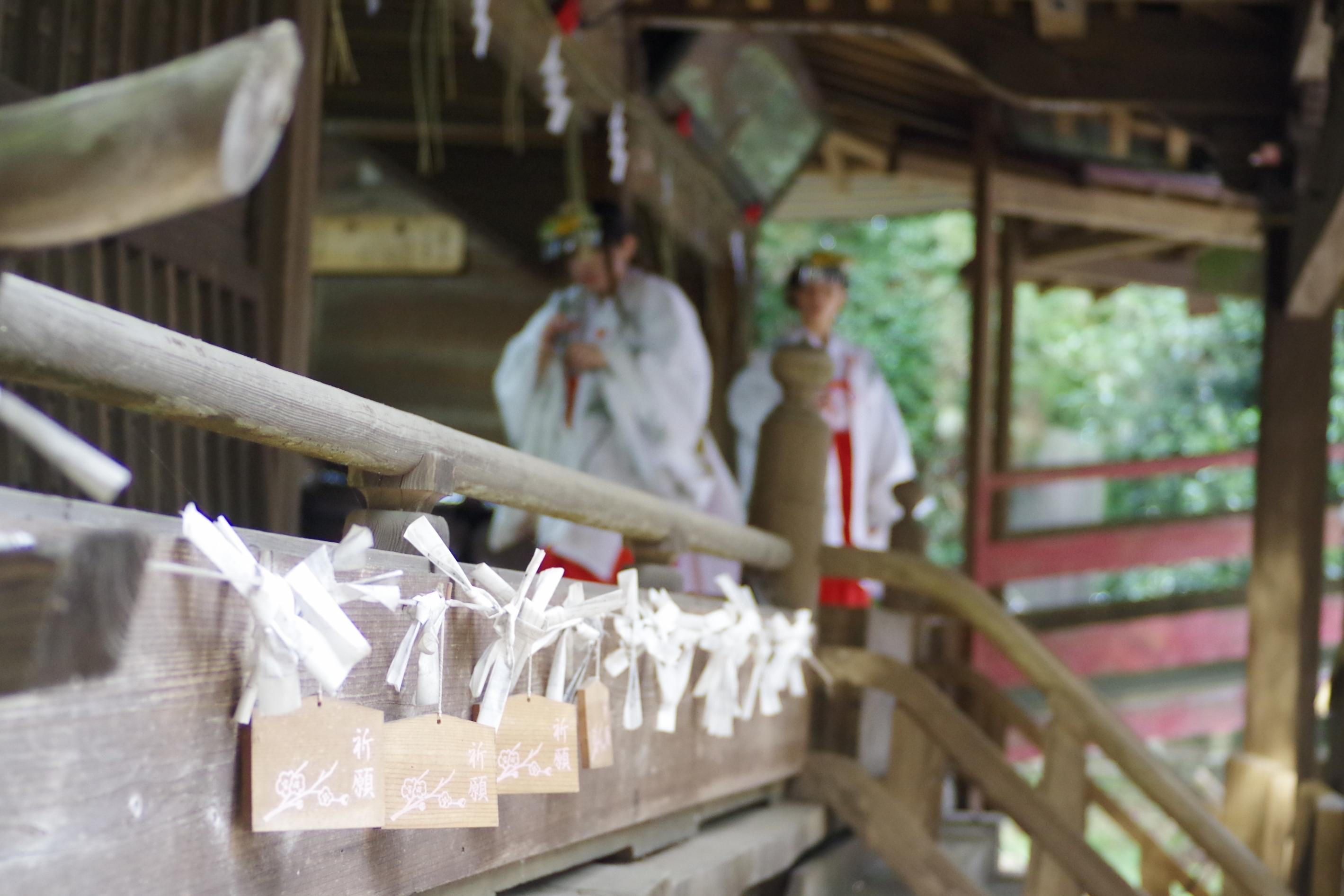 048宮内亨良奉納8.19撮影魔人祭（大宮神社）