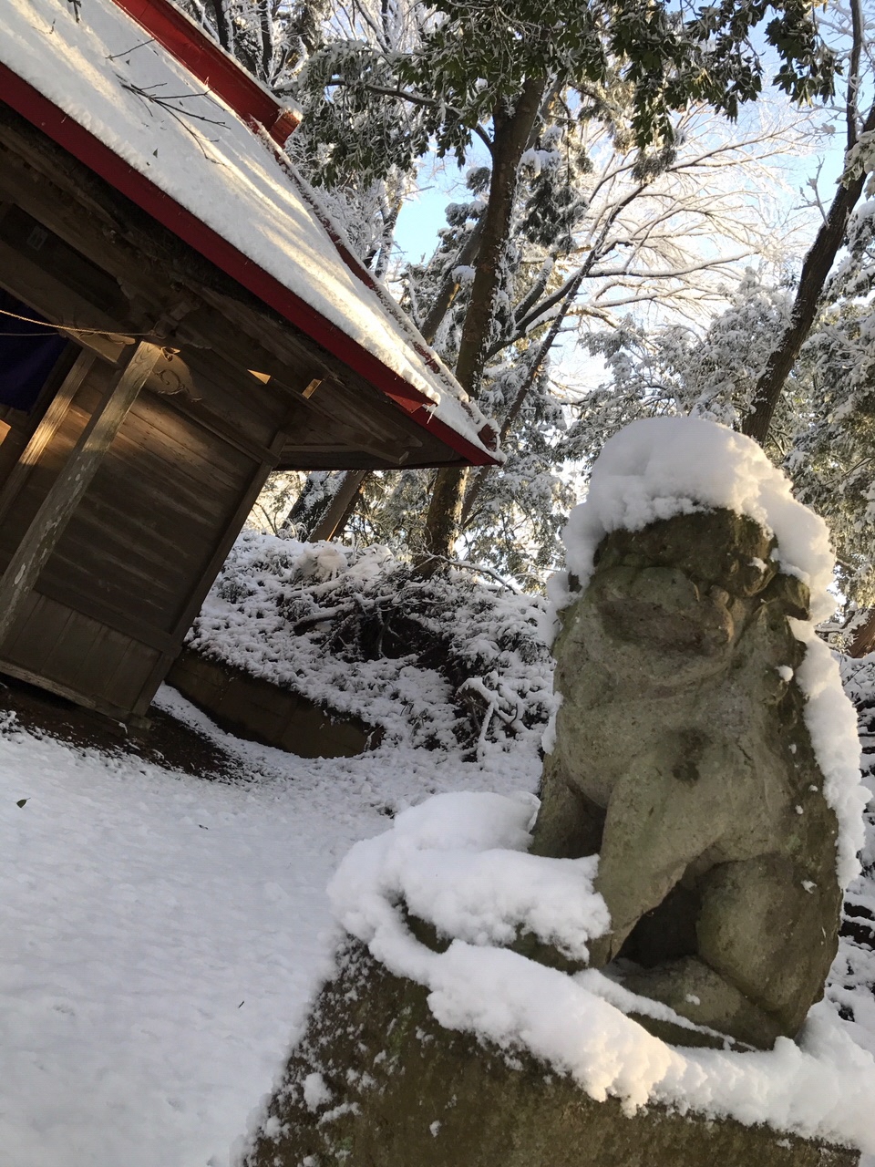 084めがね（清水瞳）雪蓑