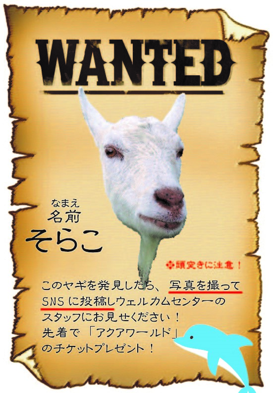 WANTEDそらこ