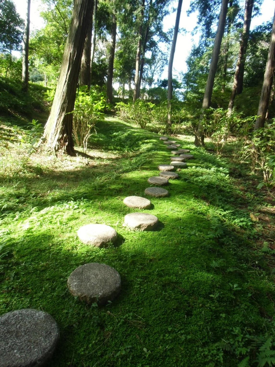 朝日のこみち（1）