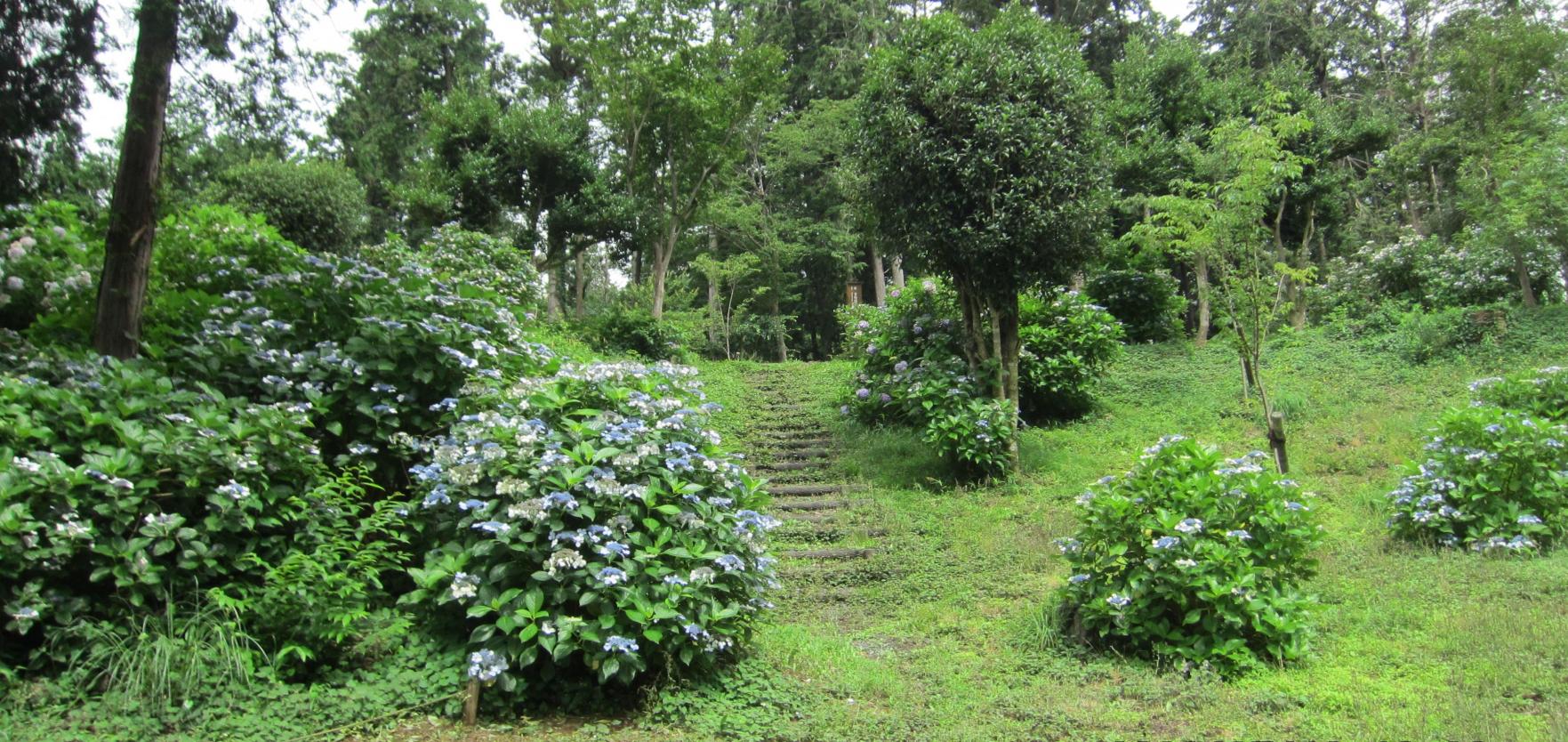 つたやま公園昇り階段