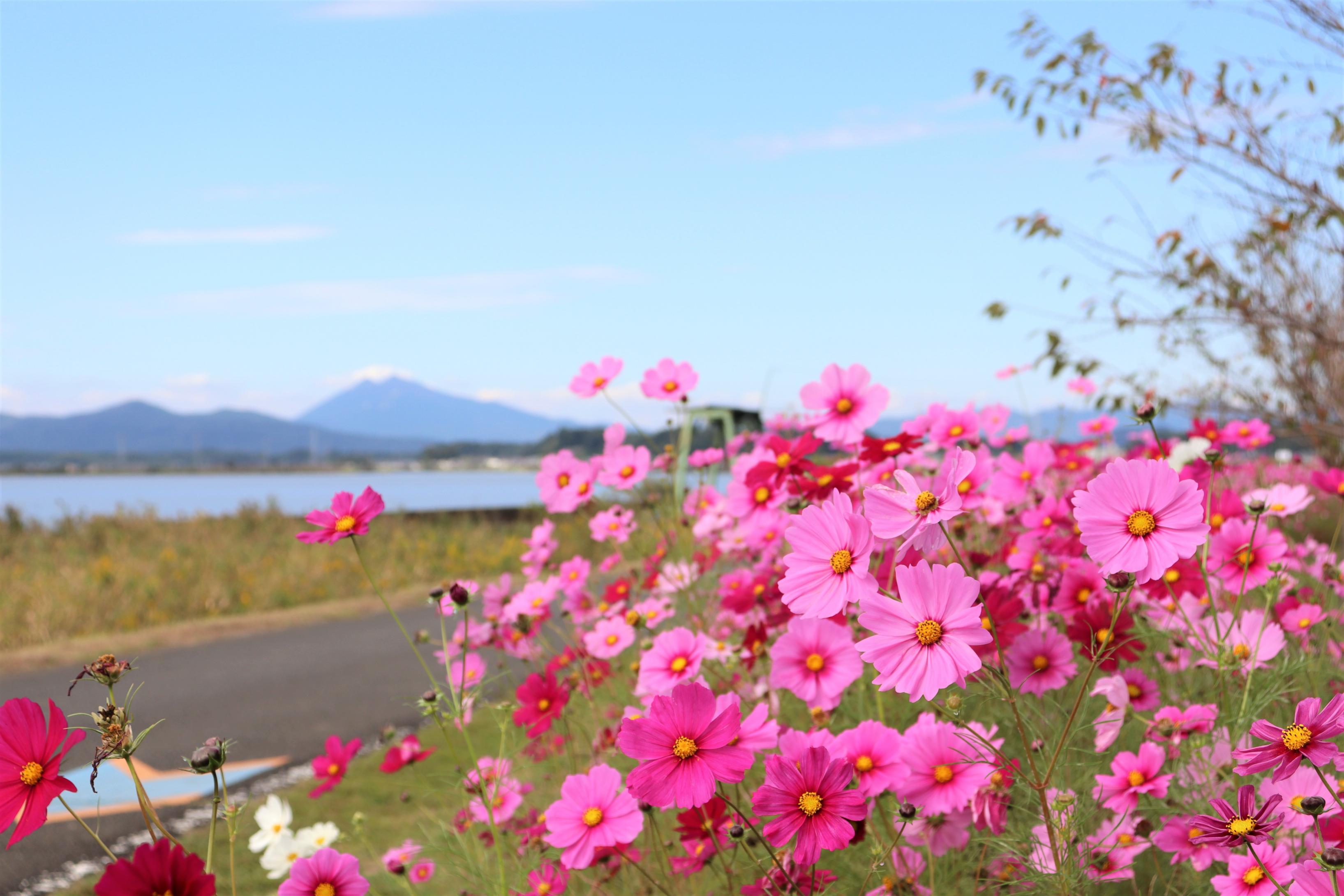 大井戸湖岸公園2