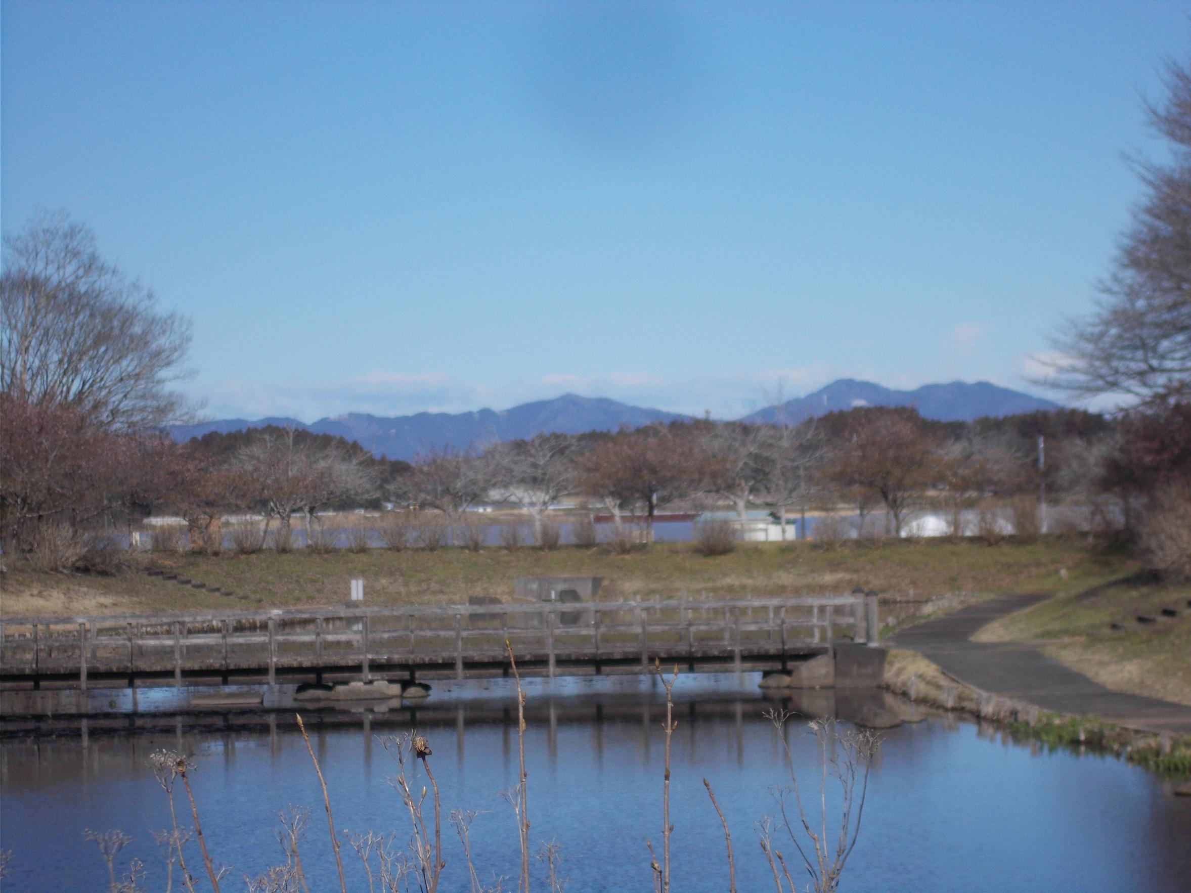 万寿池からの眺め