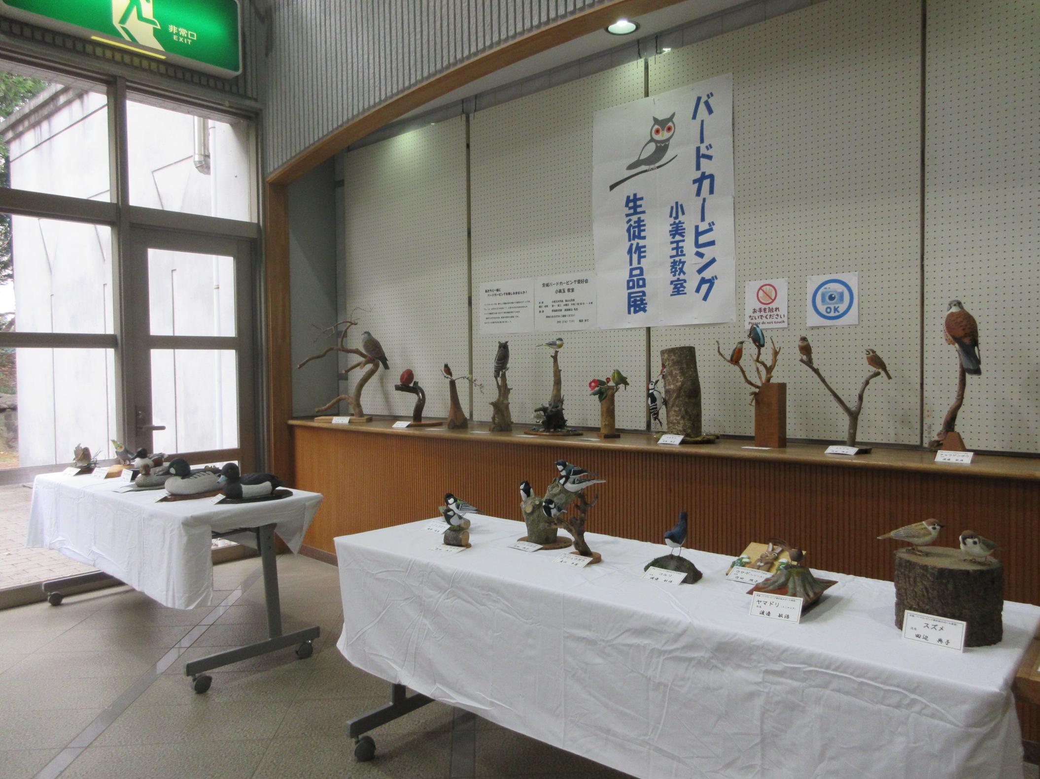 展示の様子