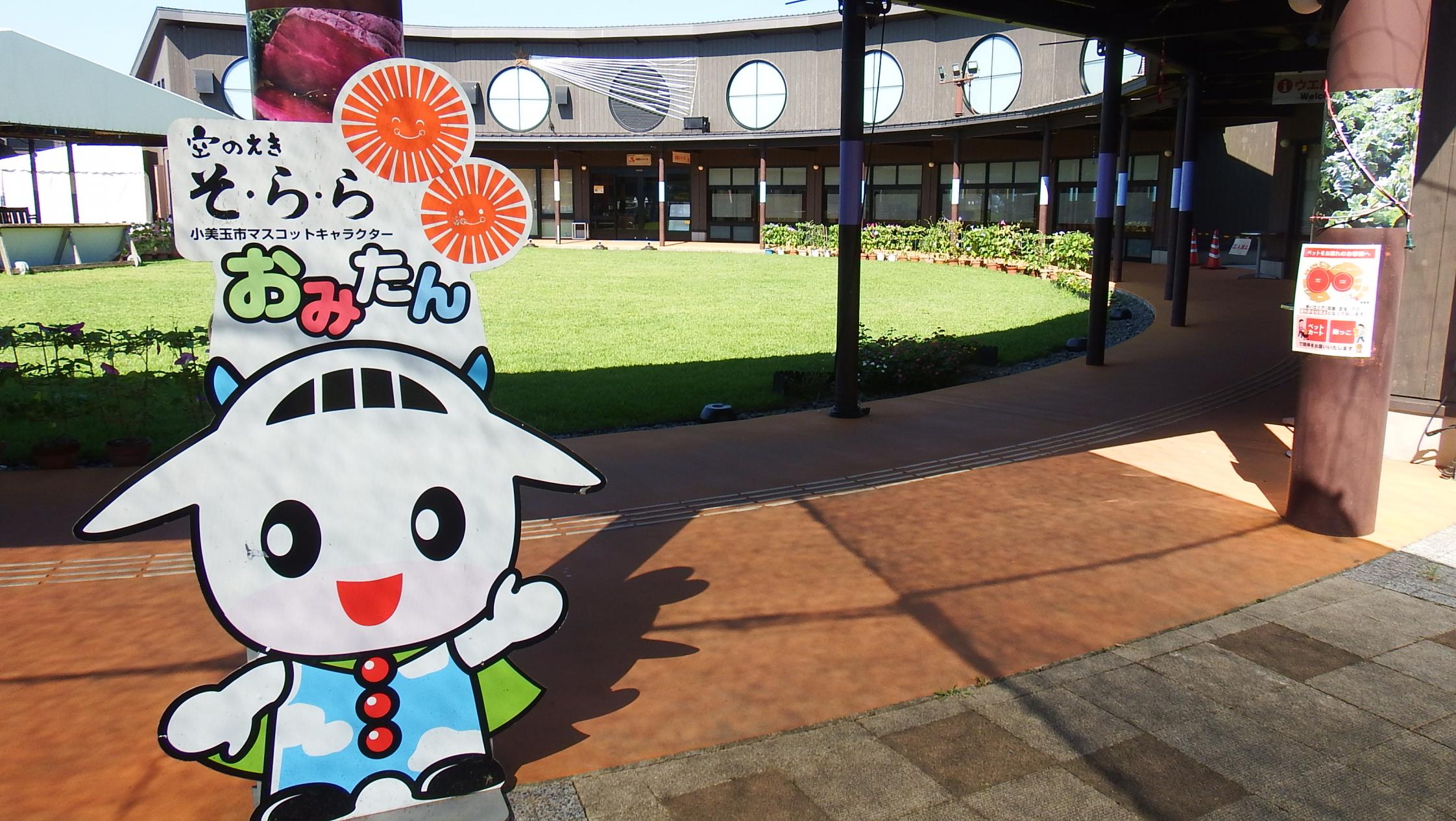 あさがお写真3