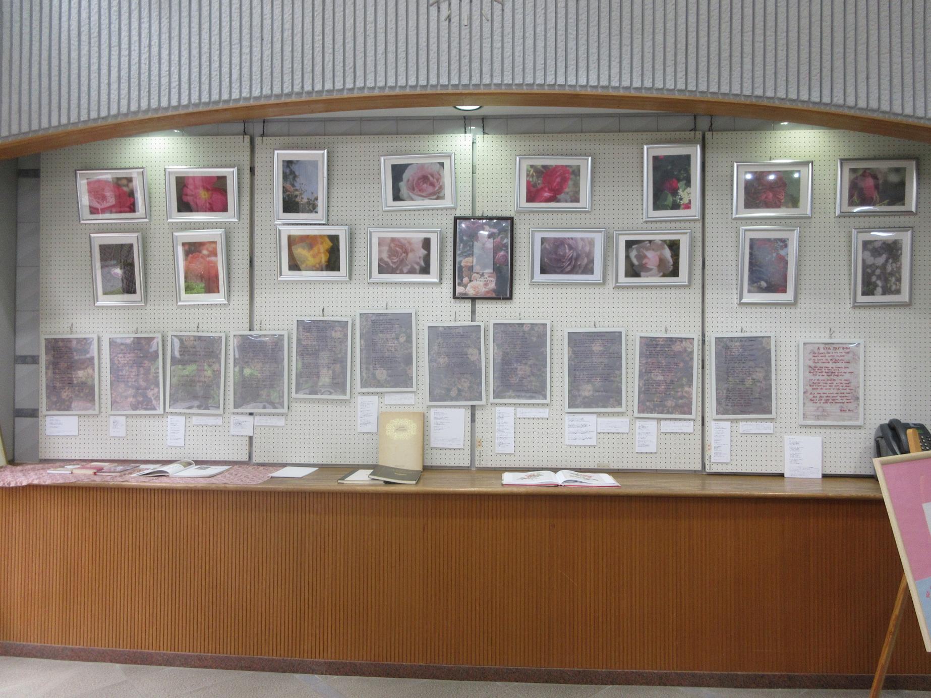 展示写真