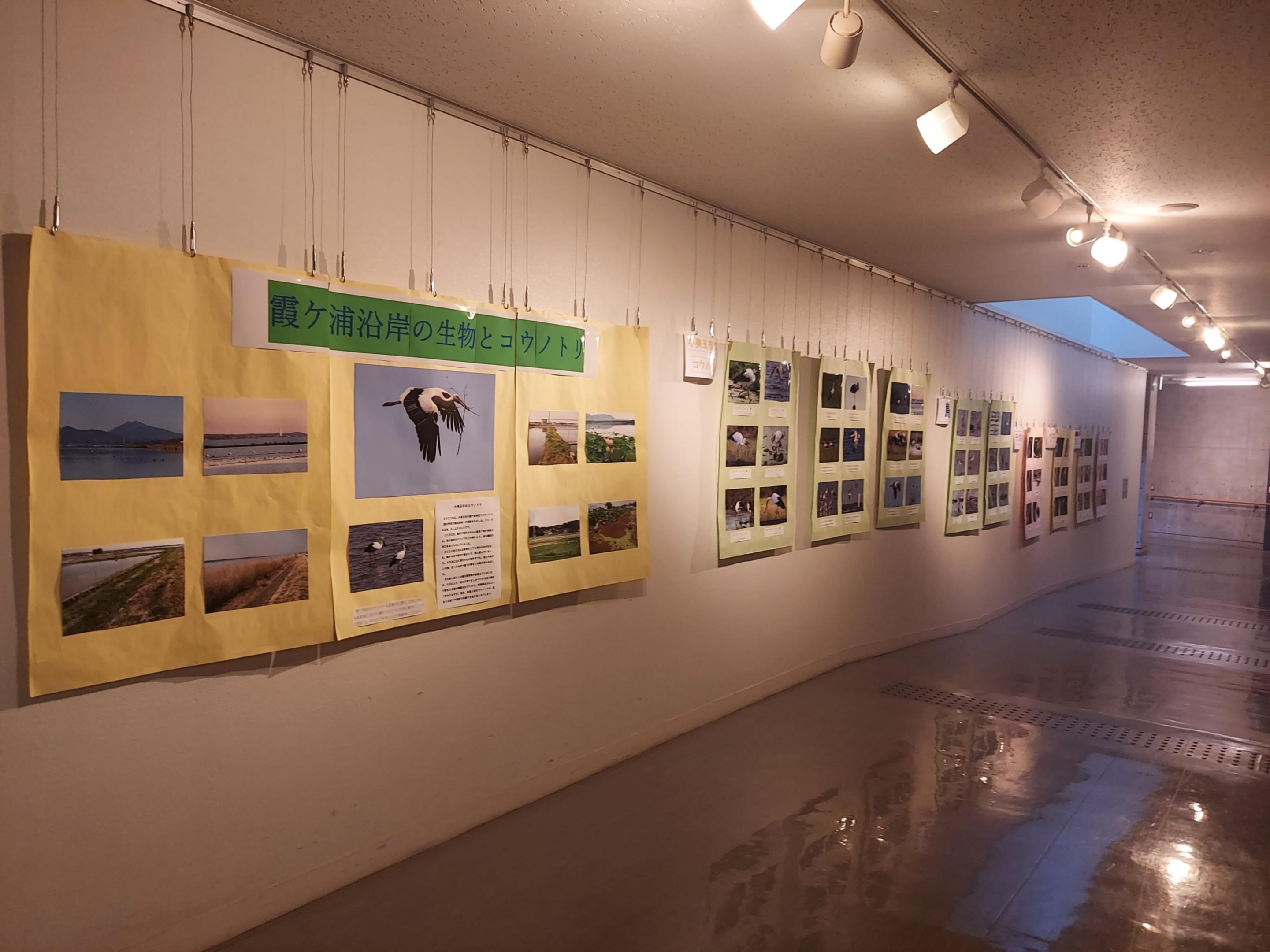 展示様子1