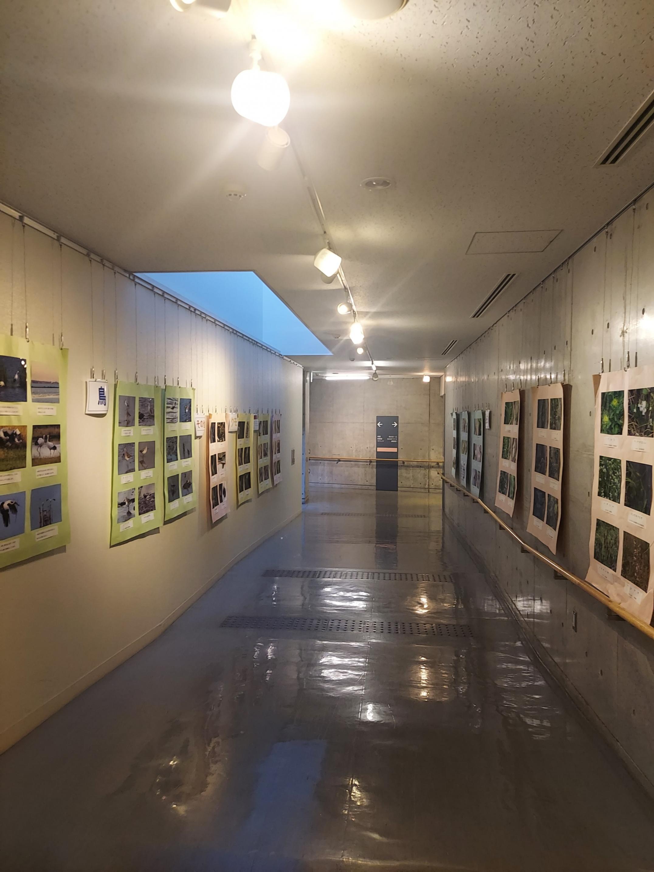 展示様子2