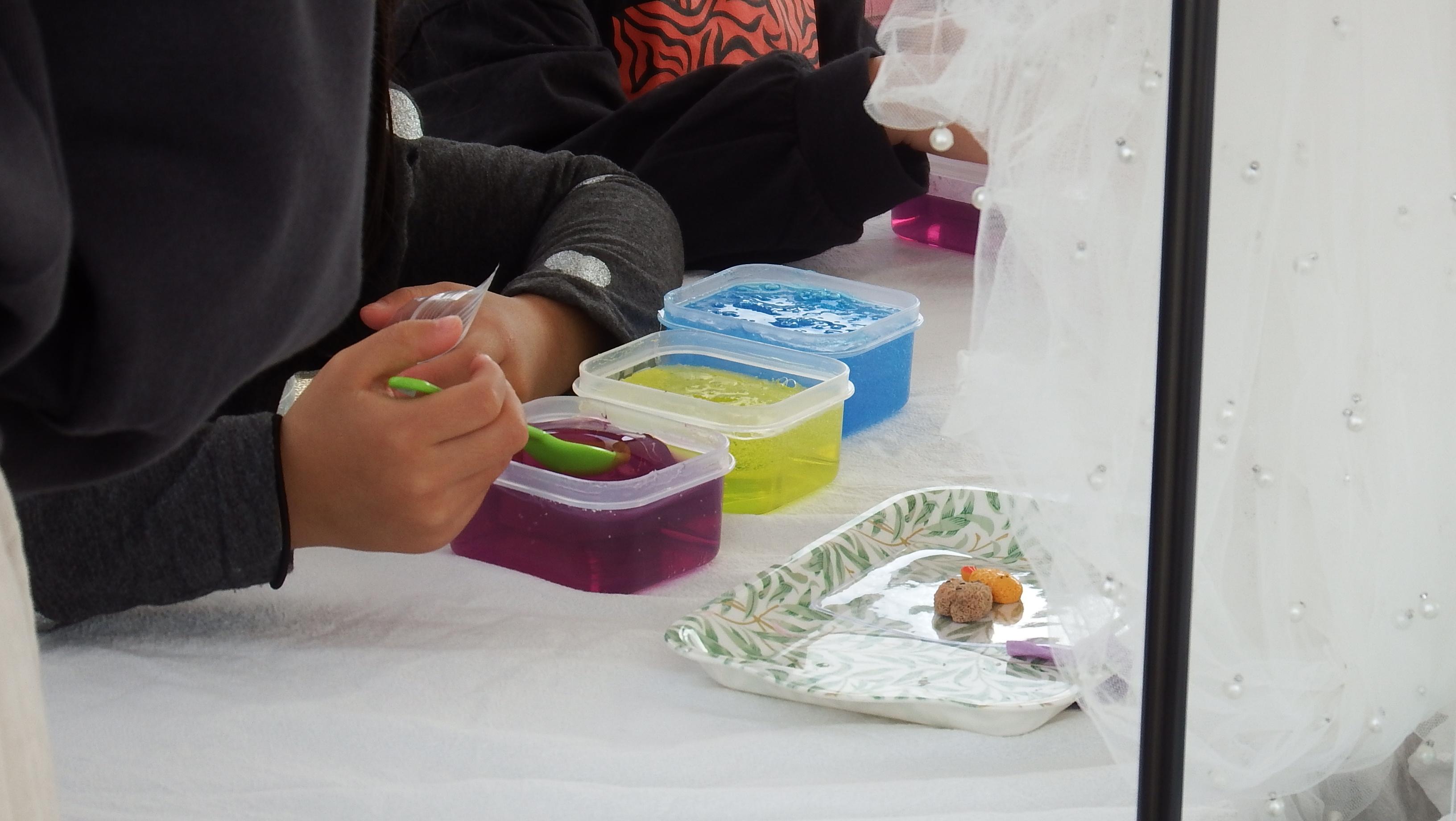 ピピット様写真