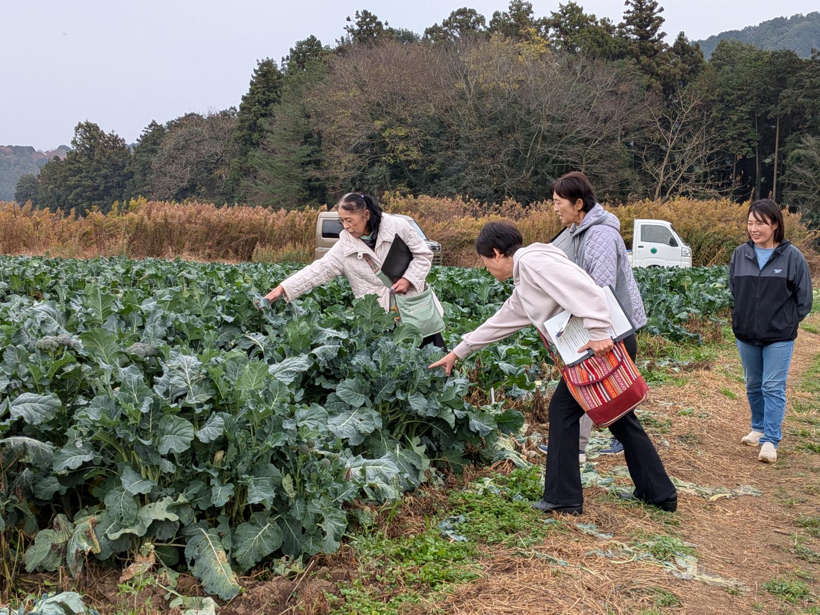 圃場見学
