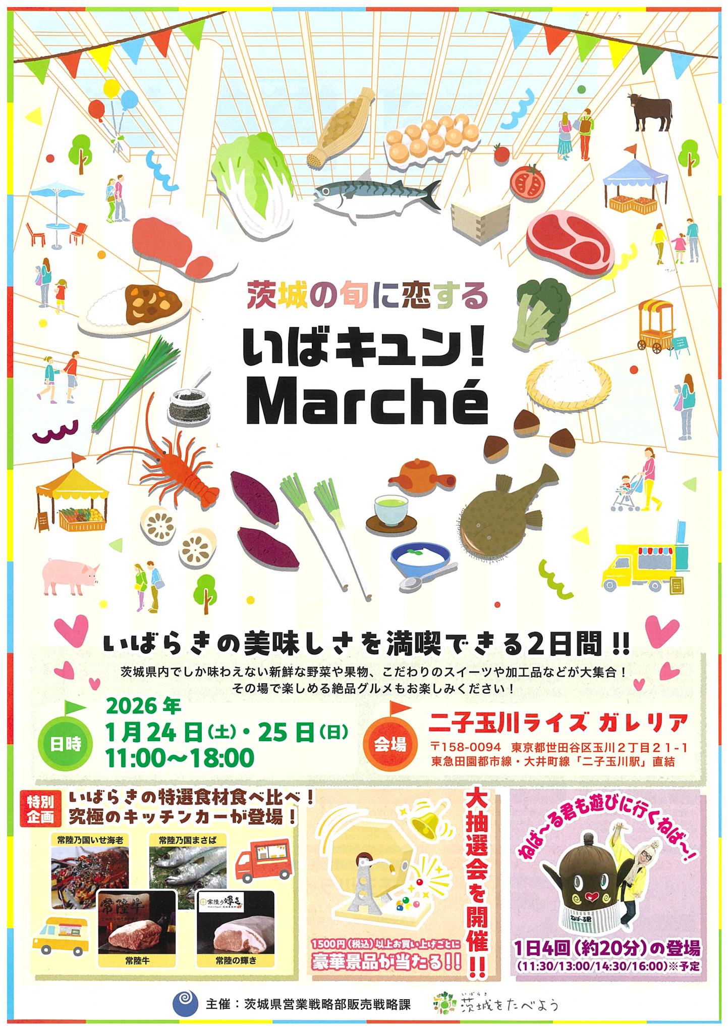 いばキュンちらし表