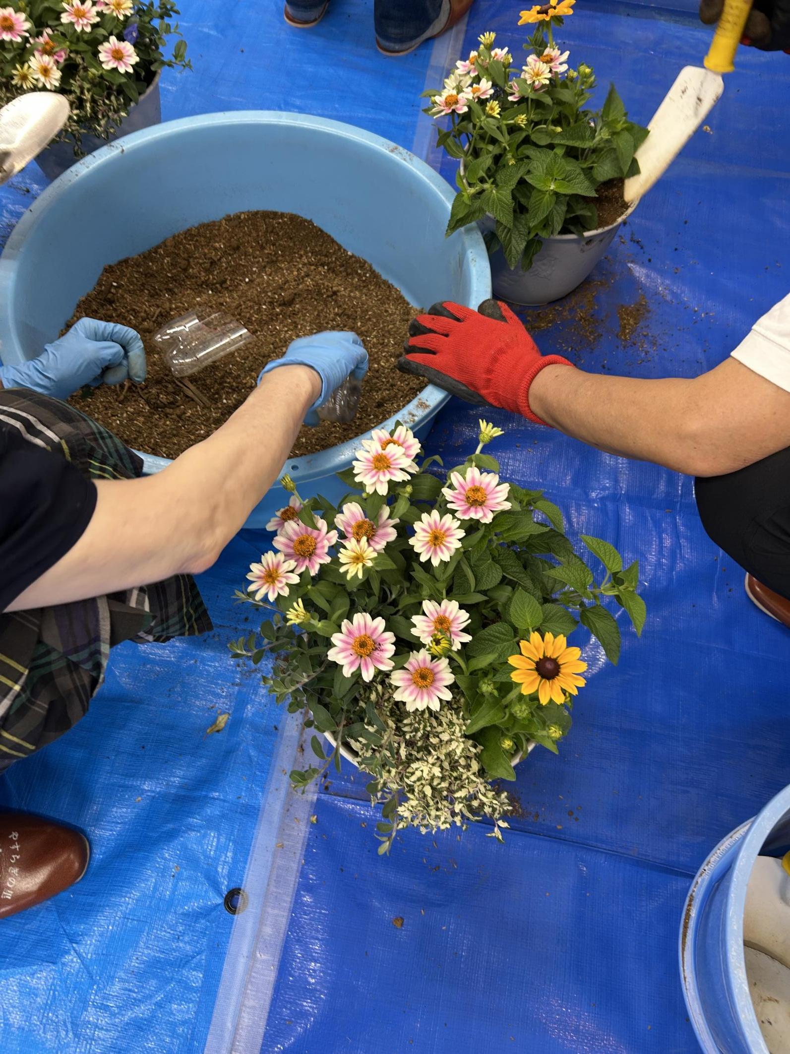 寄せ植え作品例3