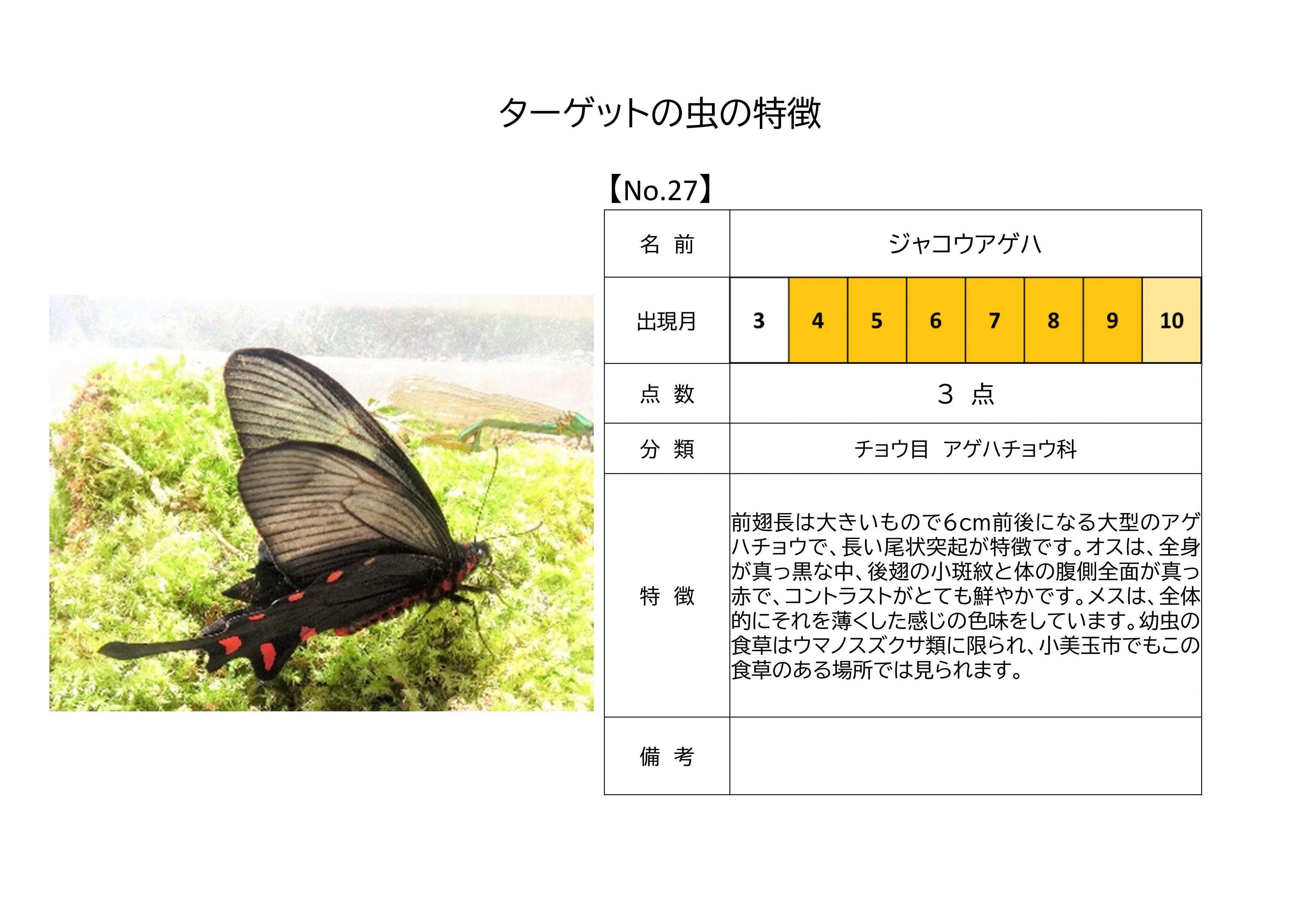 27.ジャコウアゲハ