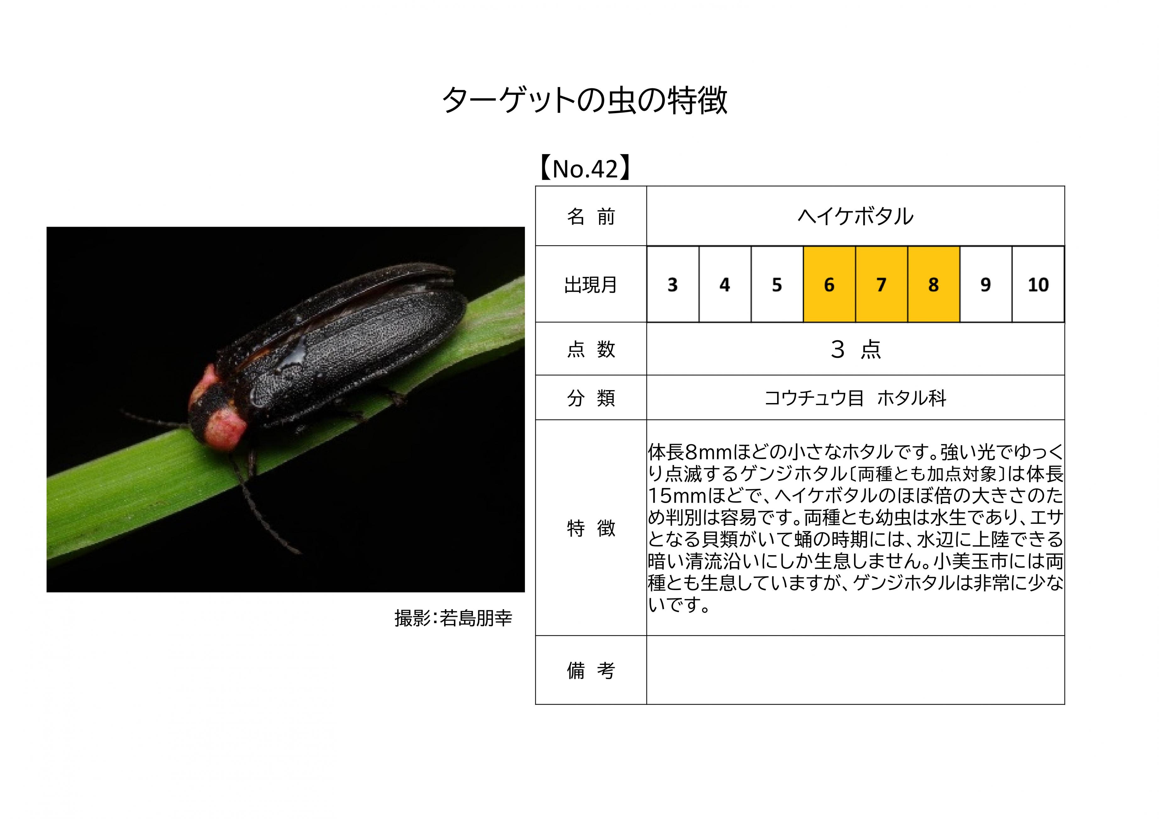 42.ヘイケボタル