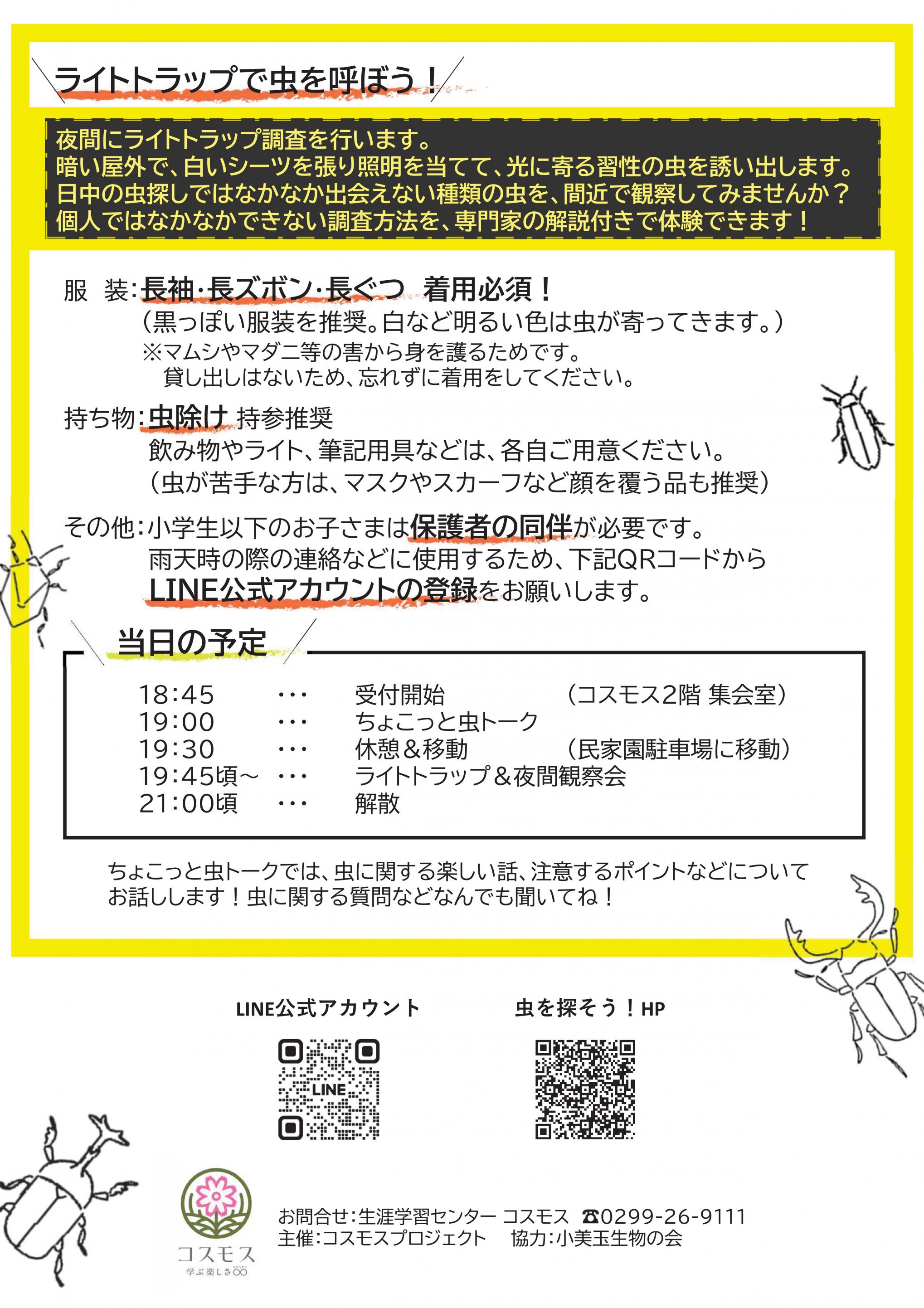 ライトトラップチラシ裏