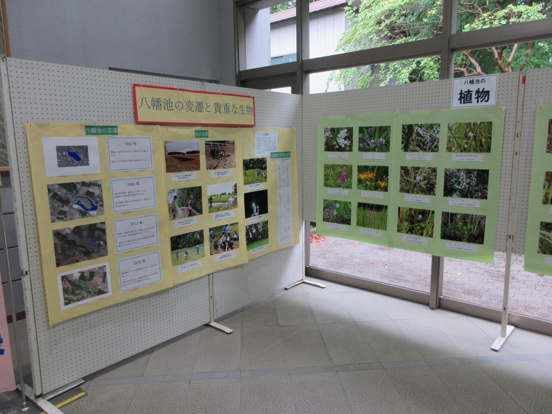 展示の様子