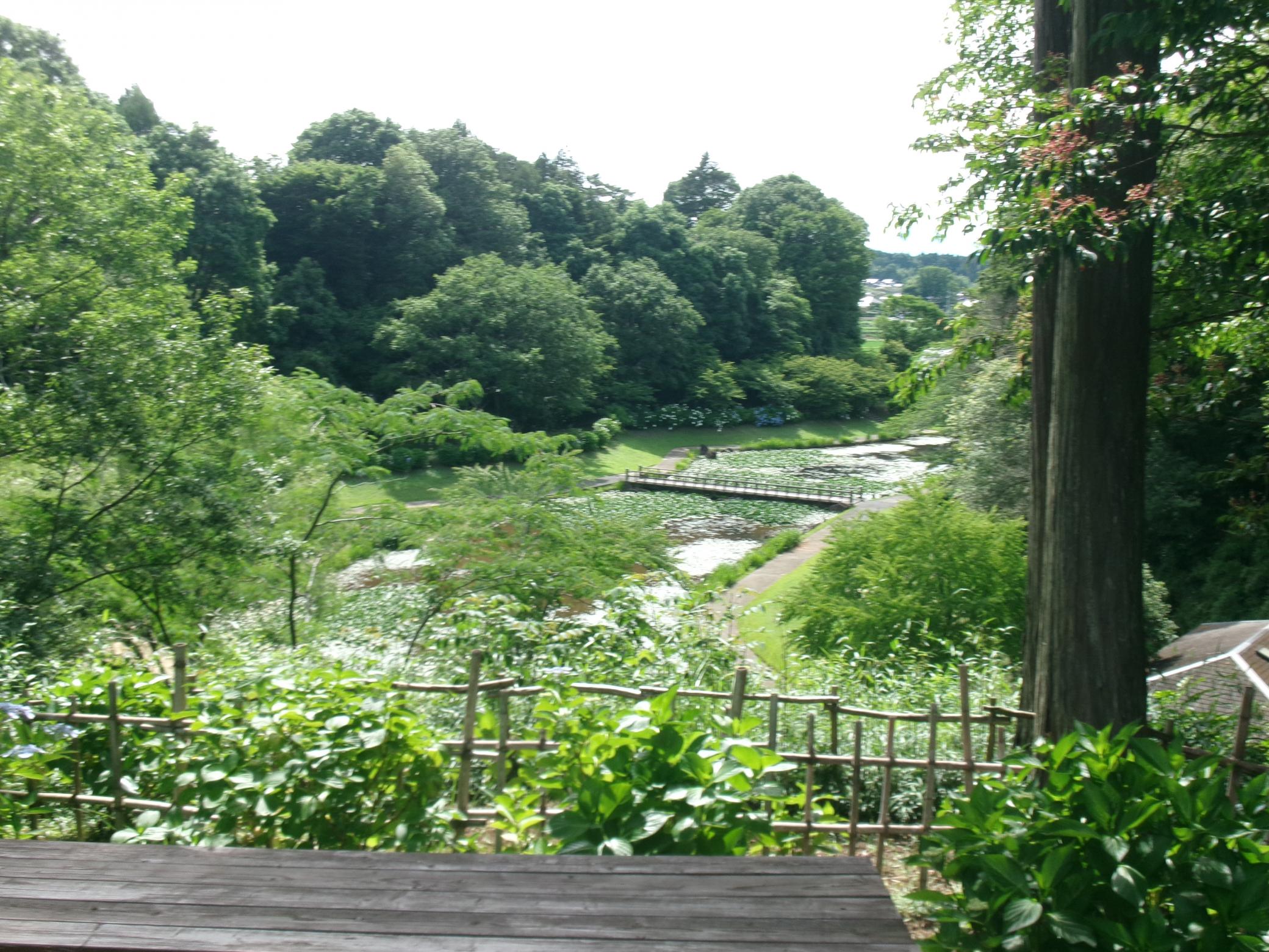 見晴らし台2 見晴らし台2