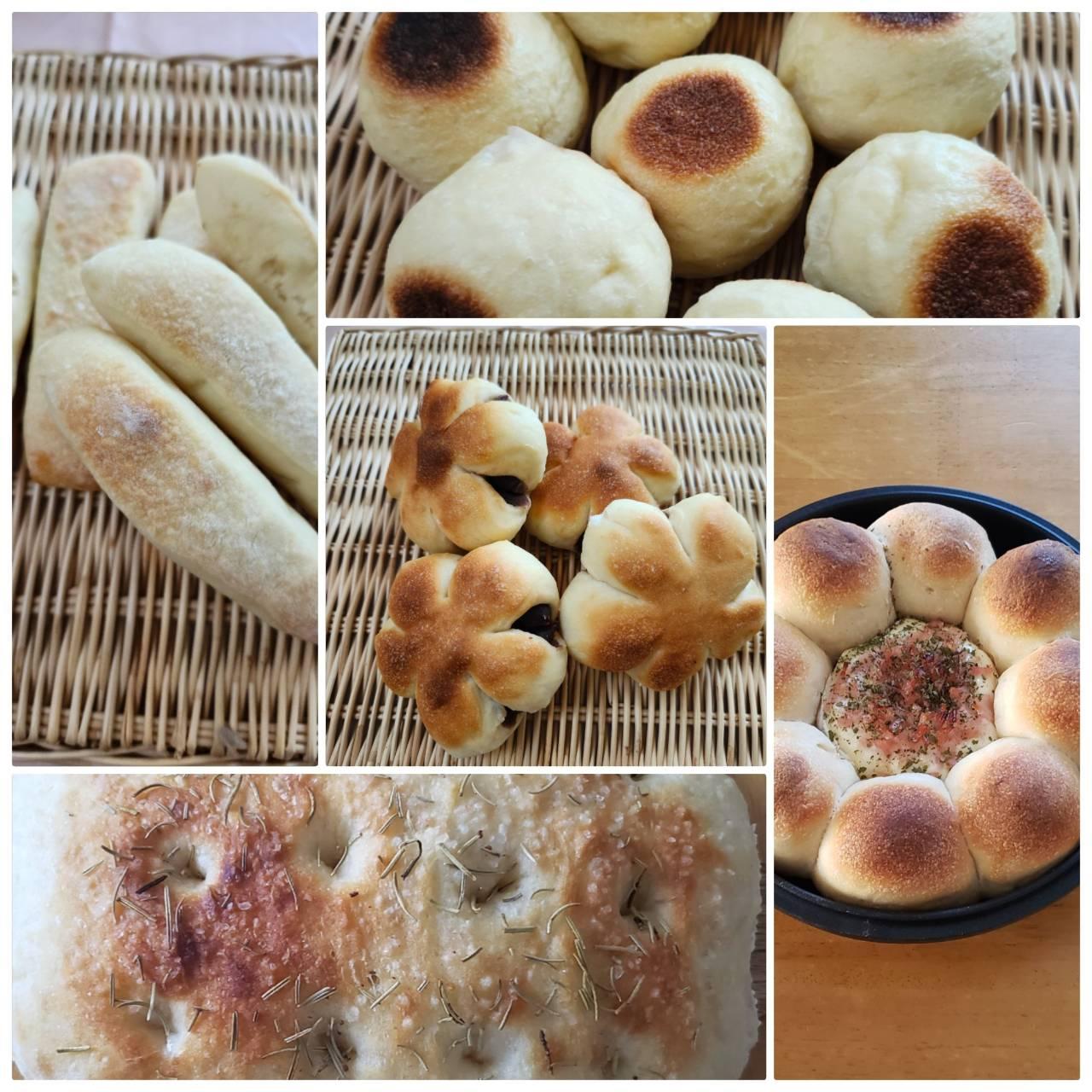 定期パン