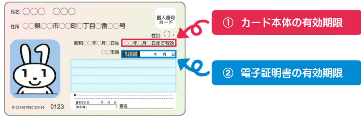 有効期限確認方法 有効期限確認方法