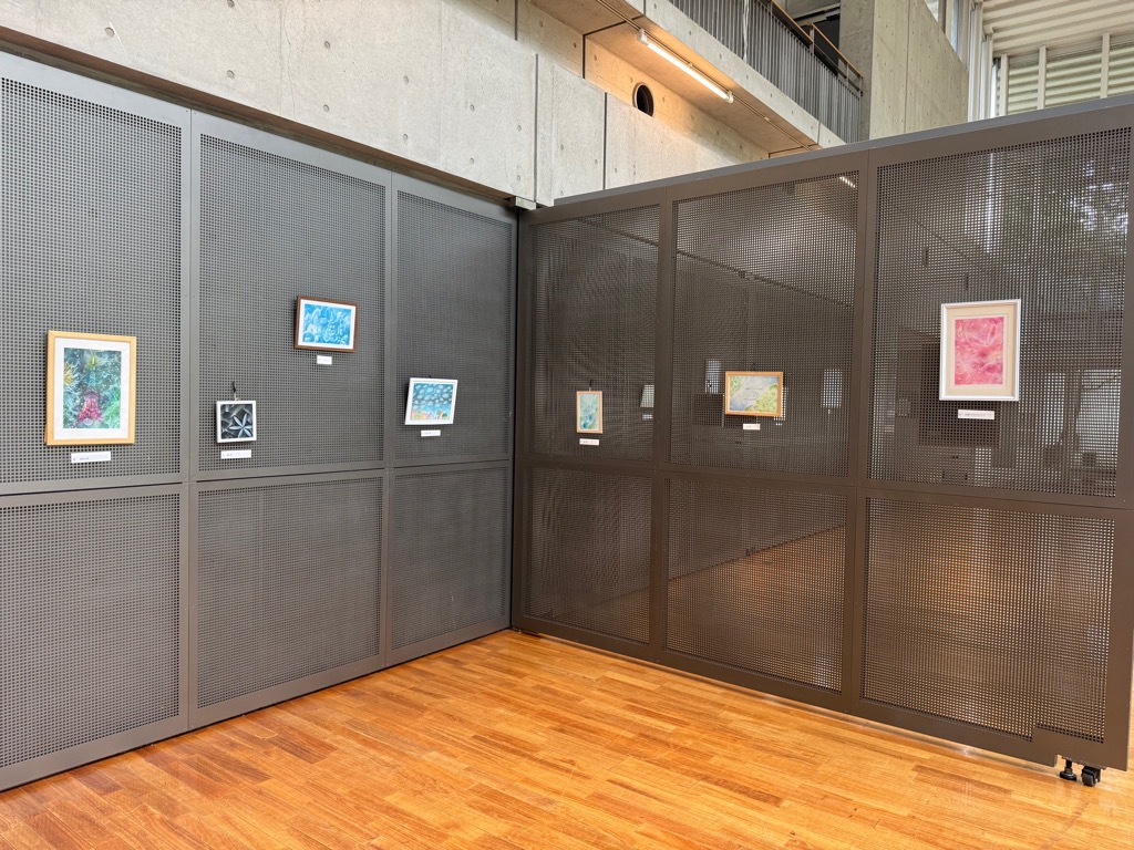 展示の様子2 展示の様子2